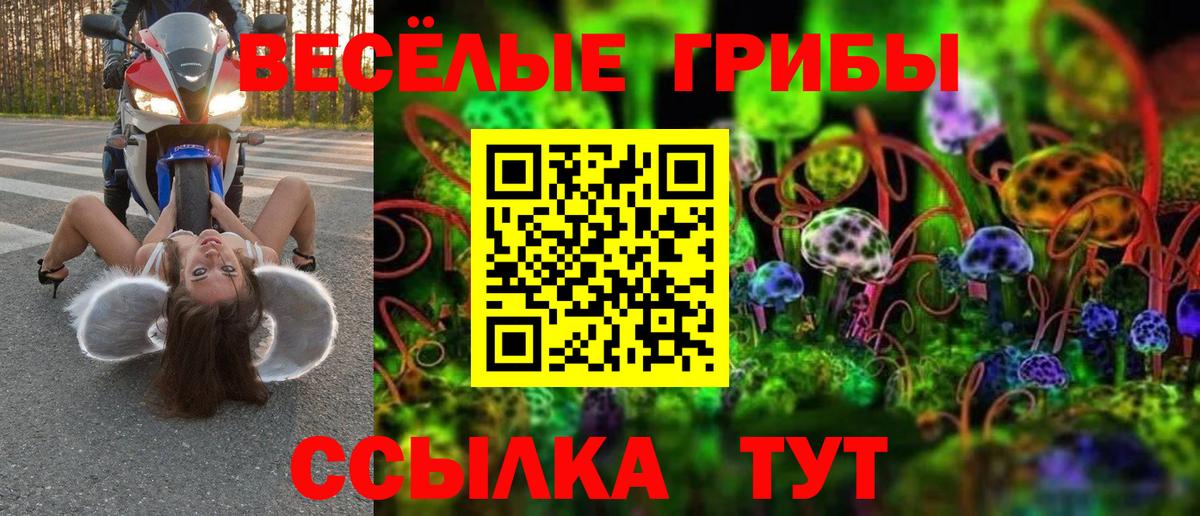 наркошоп  Псилоцибиновые грибы мухоморы  Вход с VPN  Котовск 