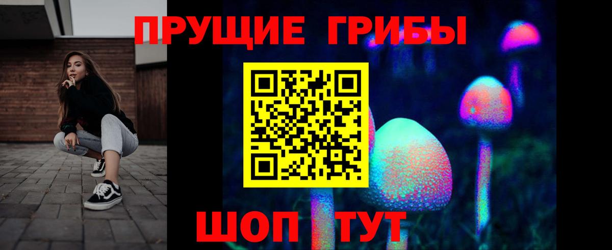 Псилоцибиновые грибы Psilocybe Котовск